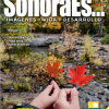 Suscripción revista SonoraEs... (impresa) - Imagen 5