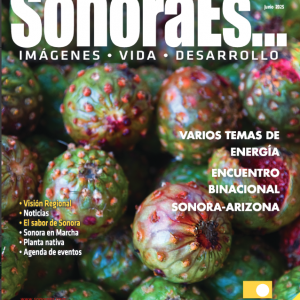 Suscripción revista SonoraEs... (impresa)