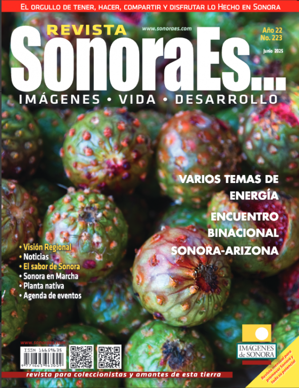 Suscripción revista SonoraEs... (impresa)
